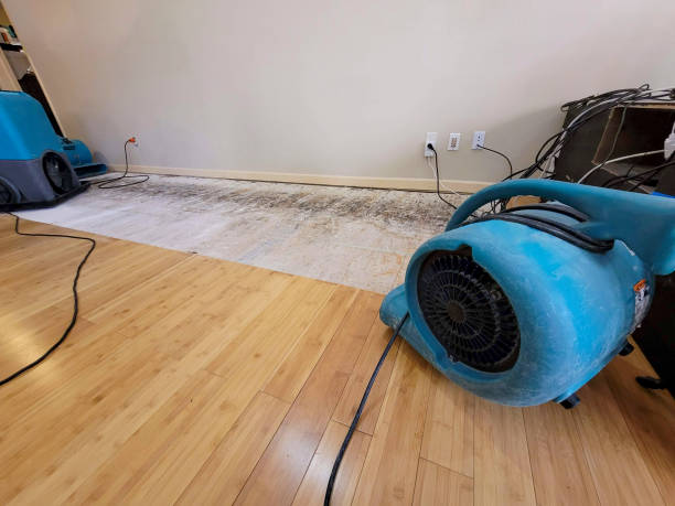 Professional Water Removal technician working in Madisonville, TX